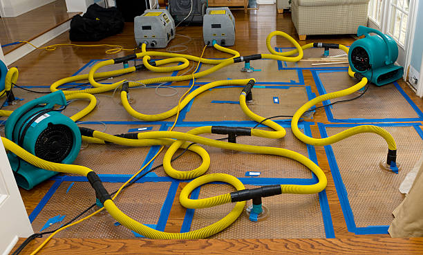 Professional Structural Drying And Dehumidification technician working in Estacada, OR